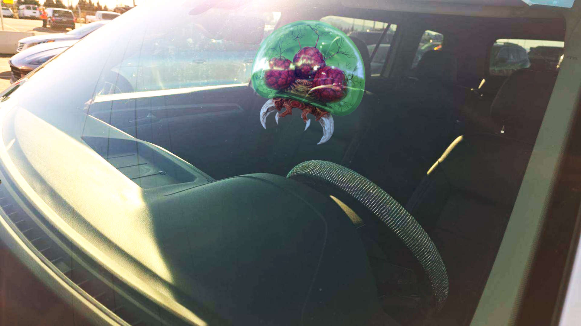 Metroid in hot car.