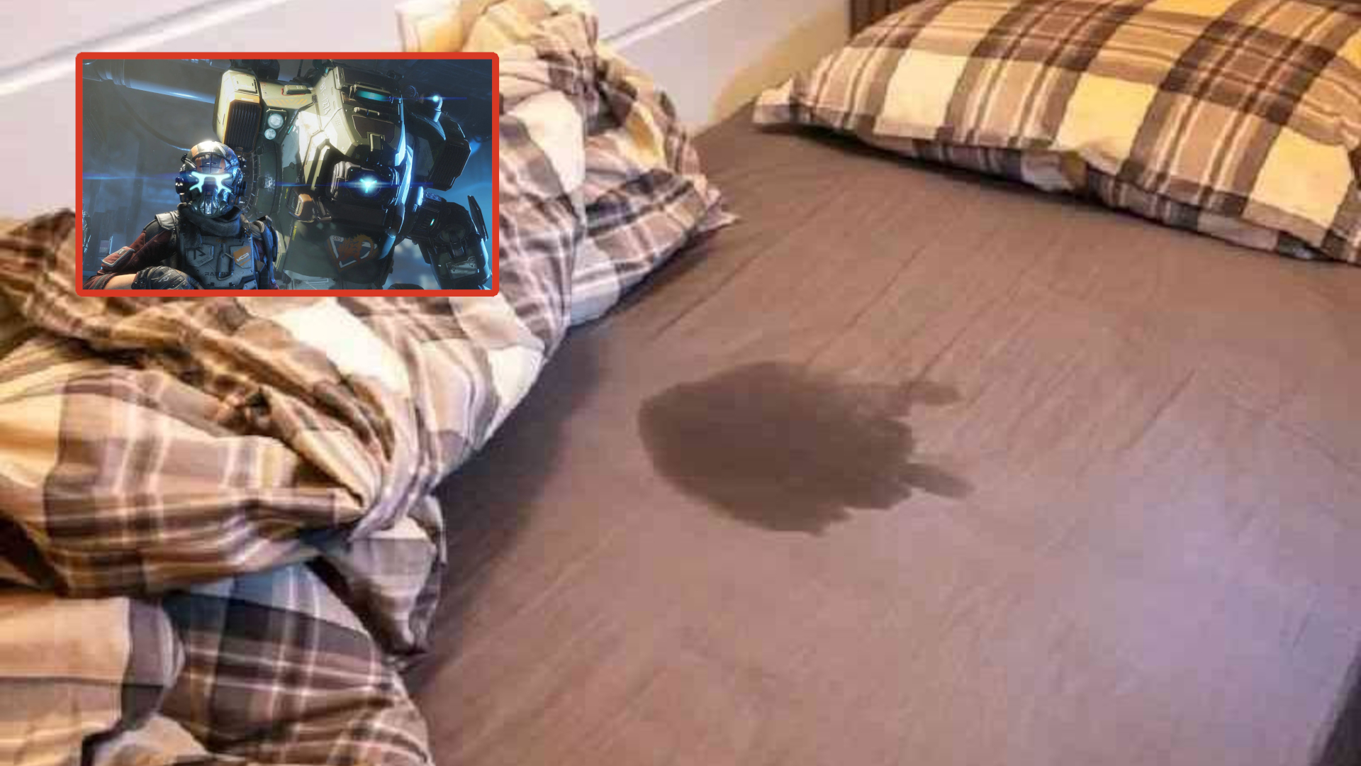 Wet Spot after Titanlfall 3 dream.